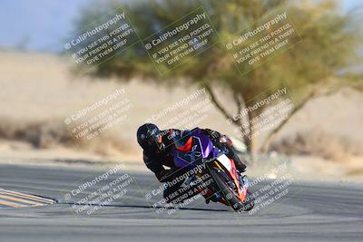 media/Jan-14-2024-SoCal Trackdays (Sun) [[2e55ec21a6]]/Turn 4 Tree of Life (155pm)/